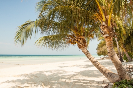 summer vacation budget