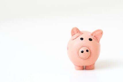 clay piggy bank / financial resilience