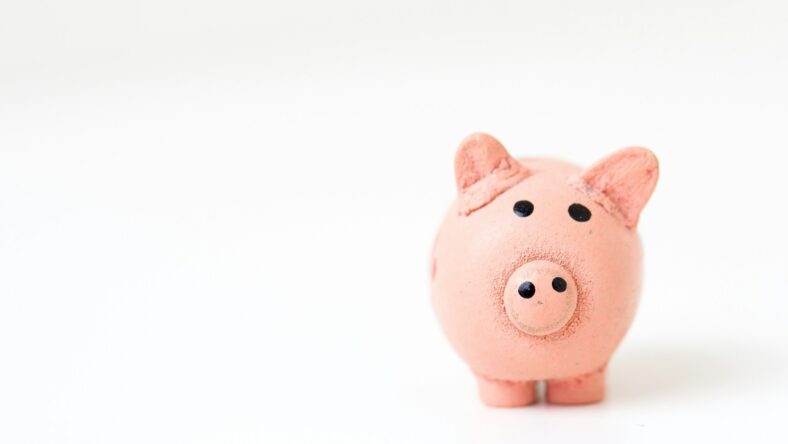 clay piggy bank / financial resilience