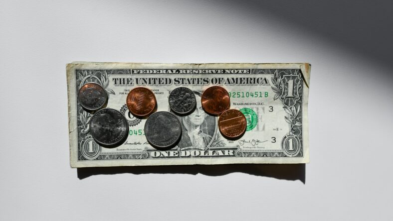 dollar bill and change / paycheck to paycheck