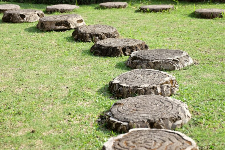 stepping stones
