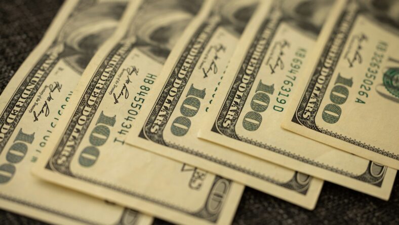 line of 100 dollar bills / cash reserve